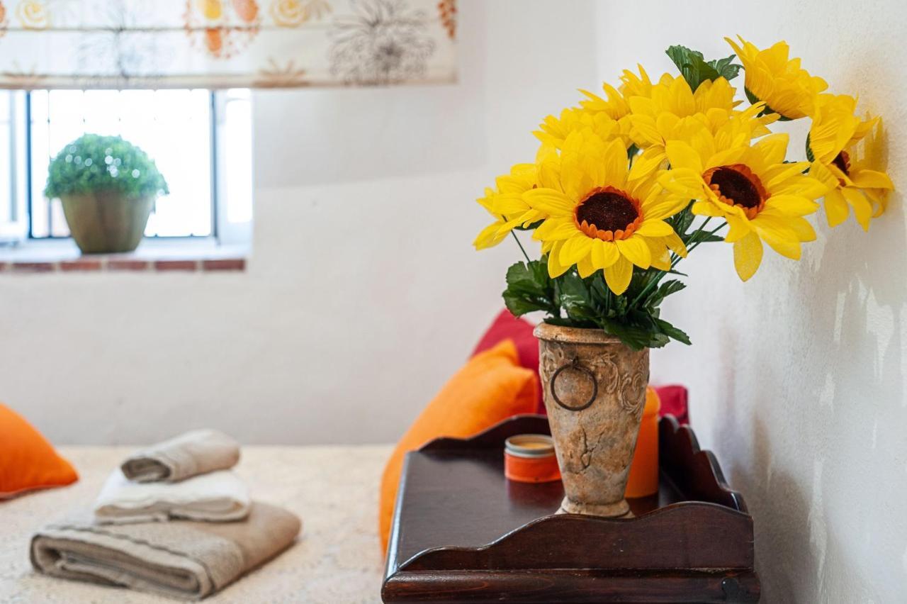 Apartamento Los Girasoles Вьер де ла Фронтера Экстерьер фото